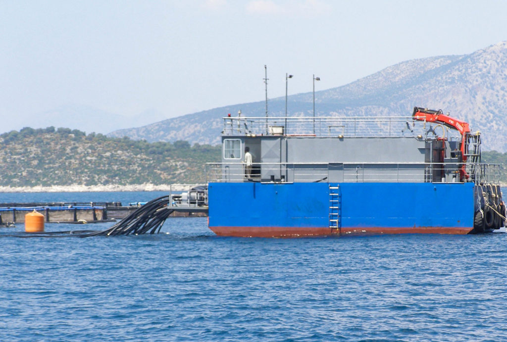 Αυτόματο σύστημα ταΐσματος ιχθυοκλωβών